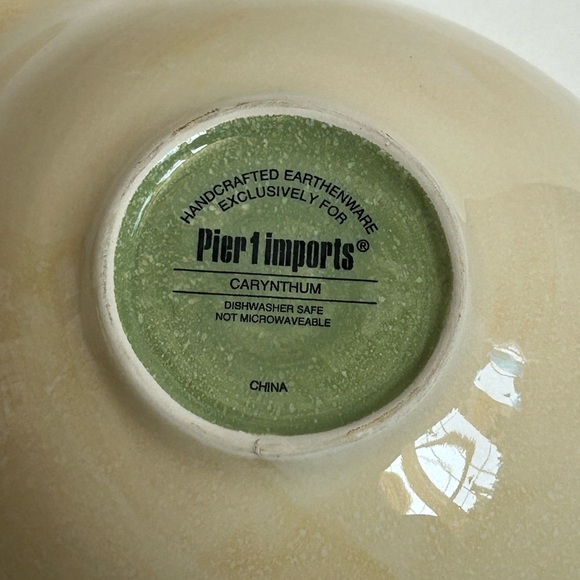 Pier 1 Imports Carynthum Chip and Dip Serving Bowl Floral Bohemian - Picture 6 of 8